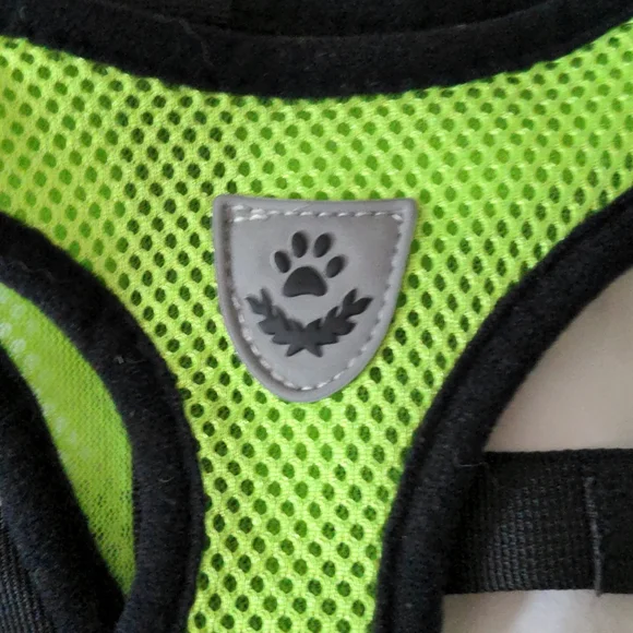NWOT Neon green harness and leash - Picture 2 of 8